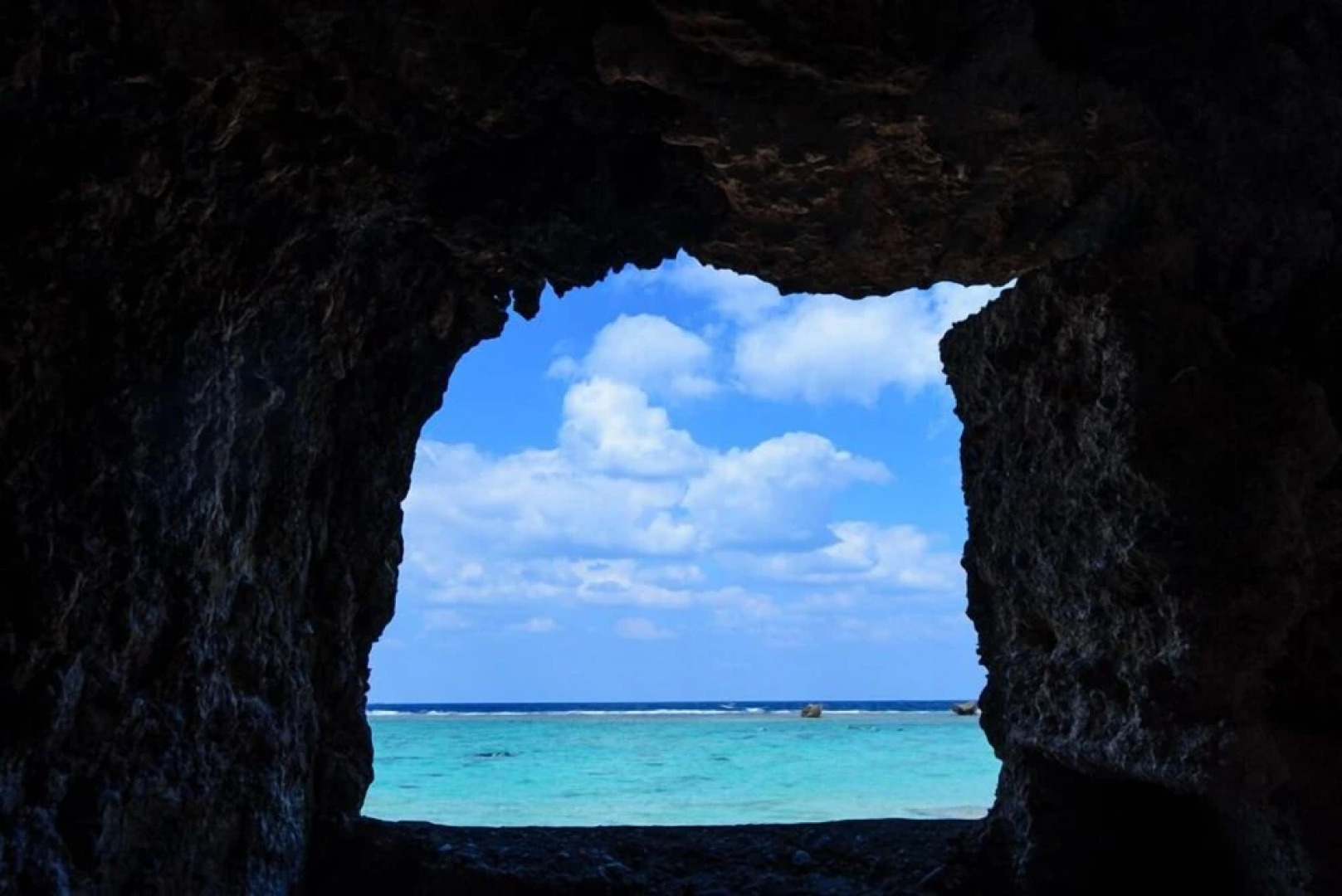 Blue Steak Wonder Nagahama