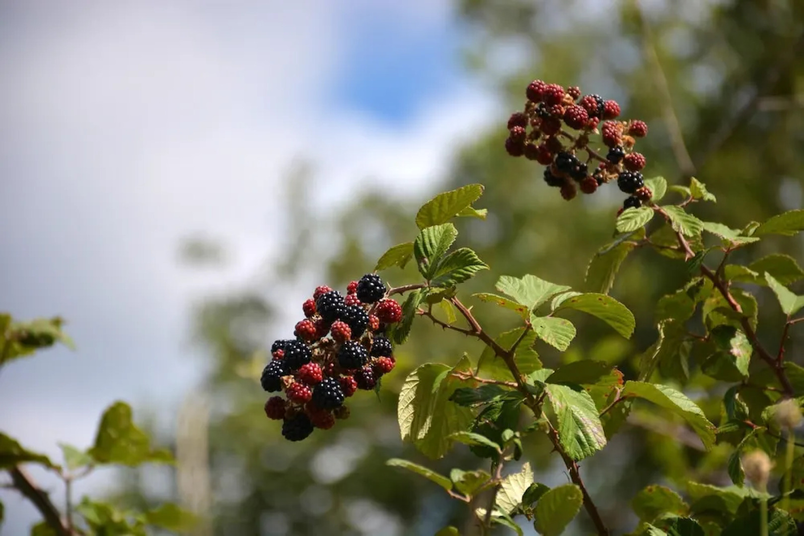 House With 3 Bedrooms in Montemitro, With Wonderful City View and Furn