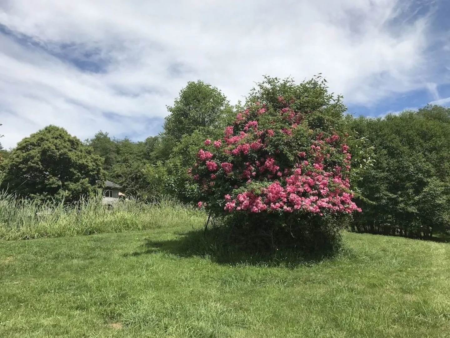 Lucky Mud Inn and Disc Golf Resort