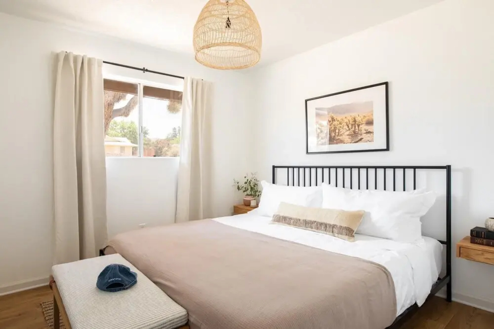 Mountain View Trail - Roadrunner