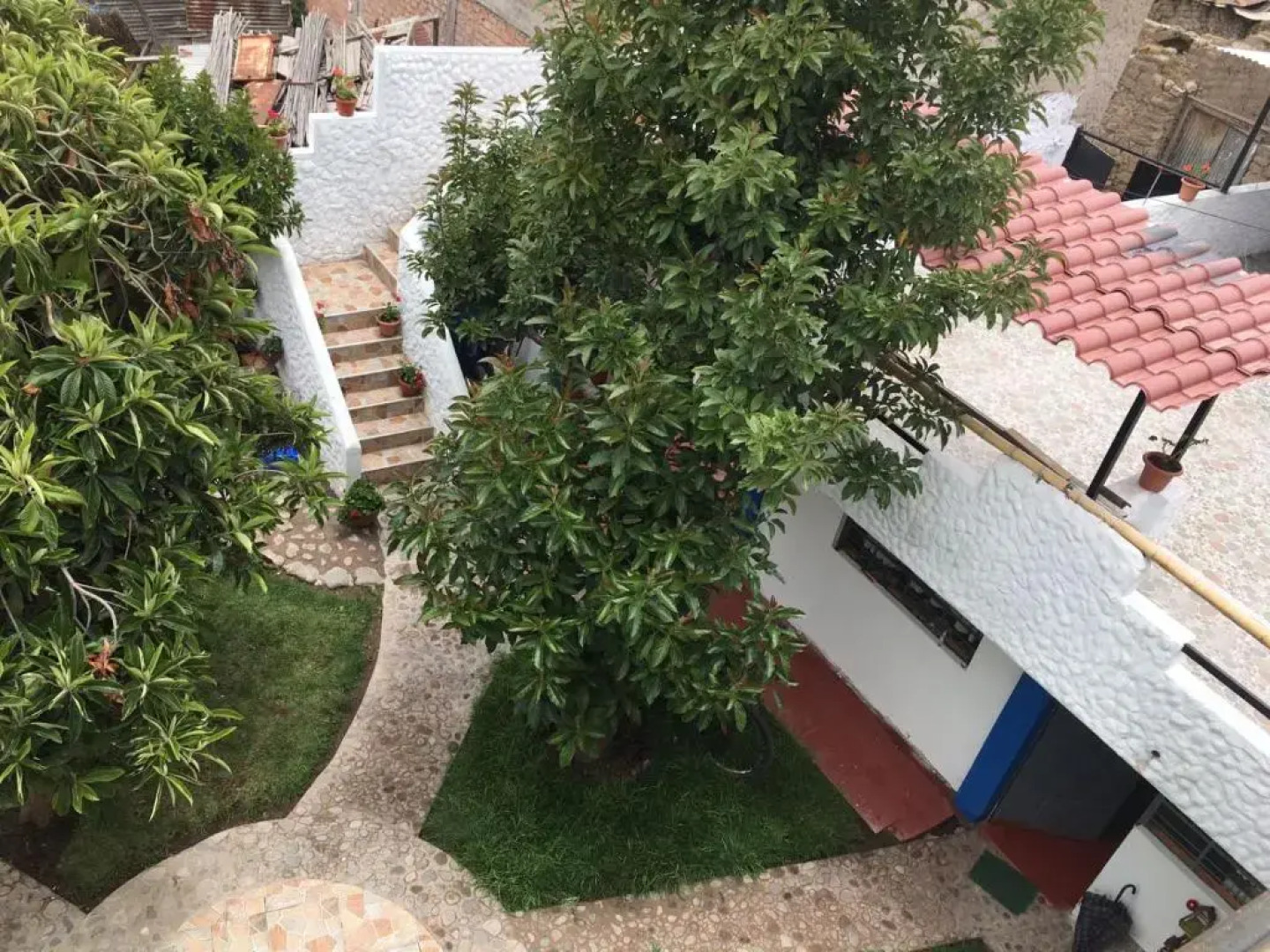 Las Palmeras Eco Hostel