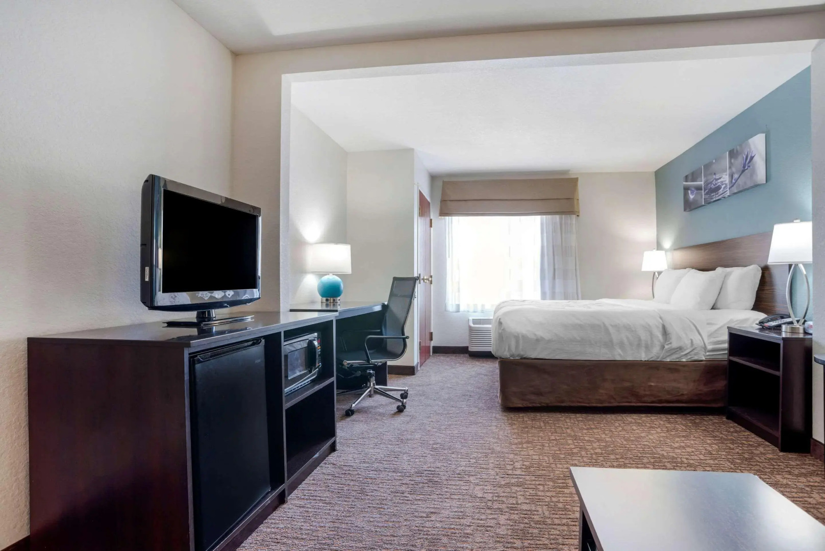 Sleep Inn & Suites Auburn Campus Area I-85