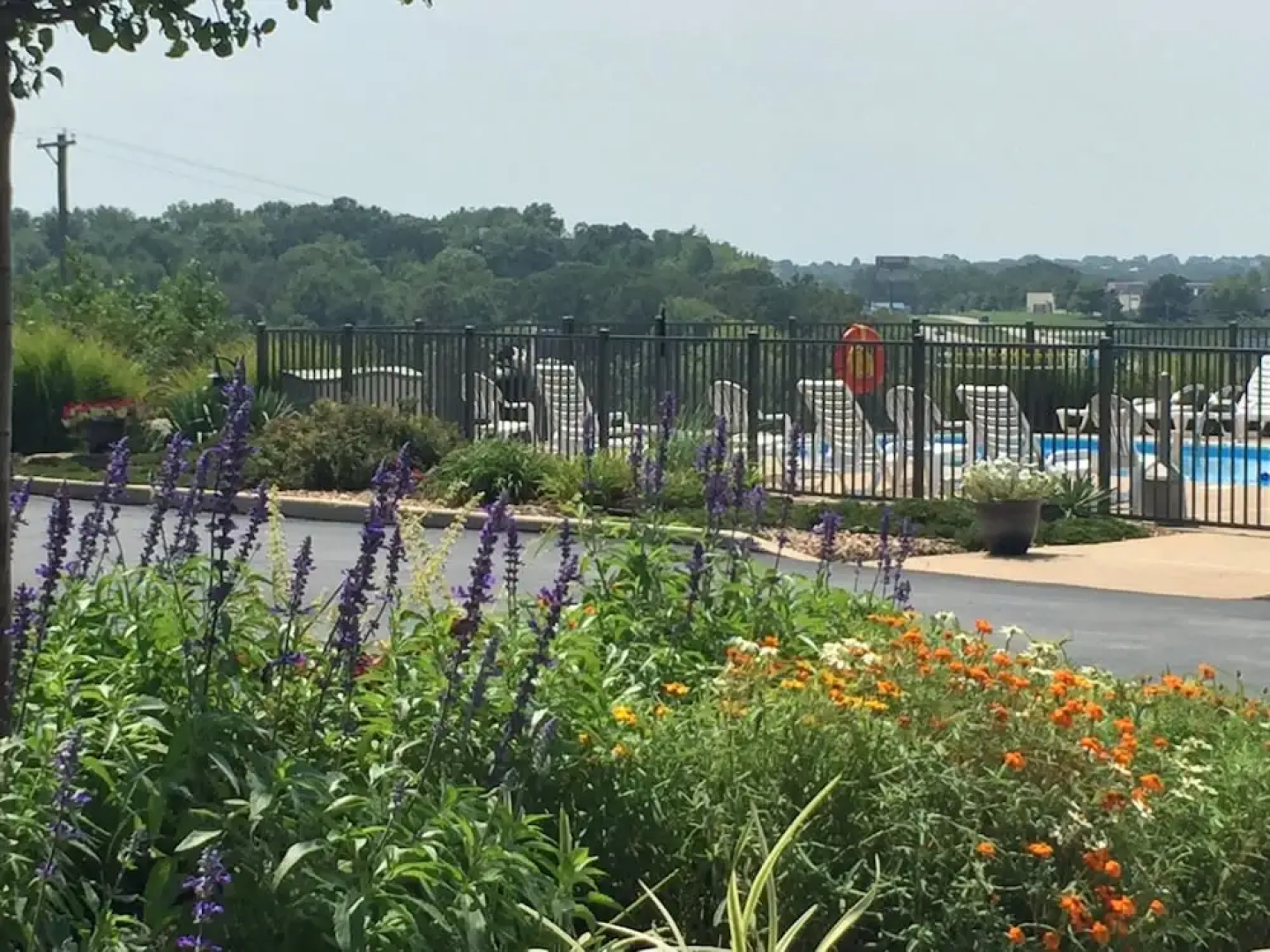 Pinemark Inn & Suites