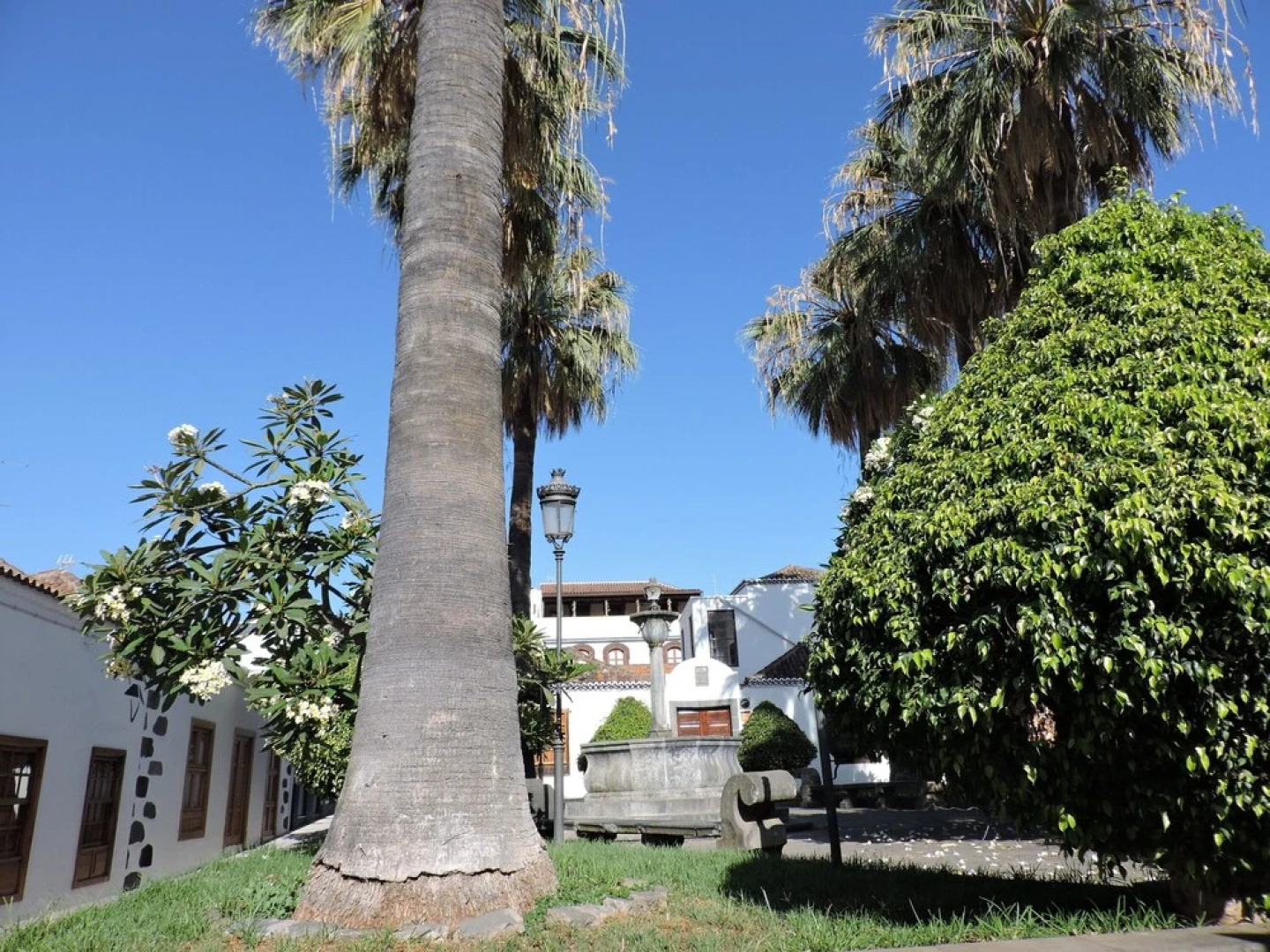 La Carpintería, en Los Llanos de Aridane