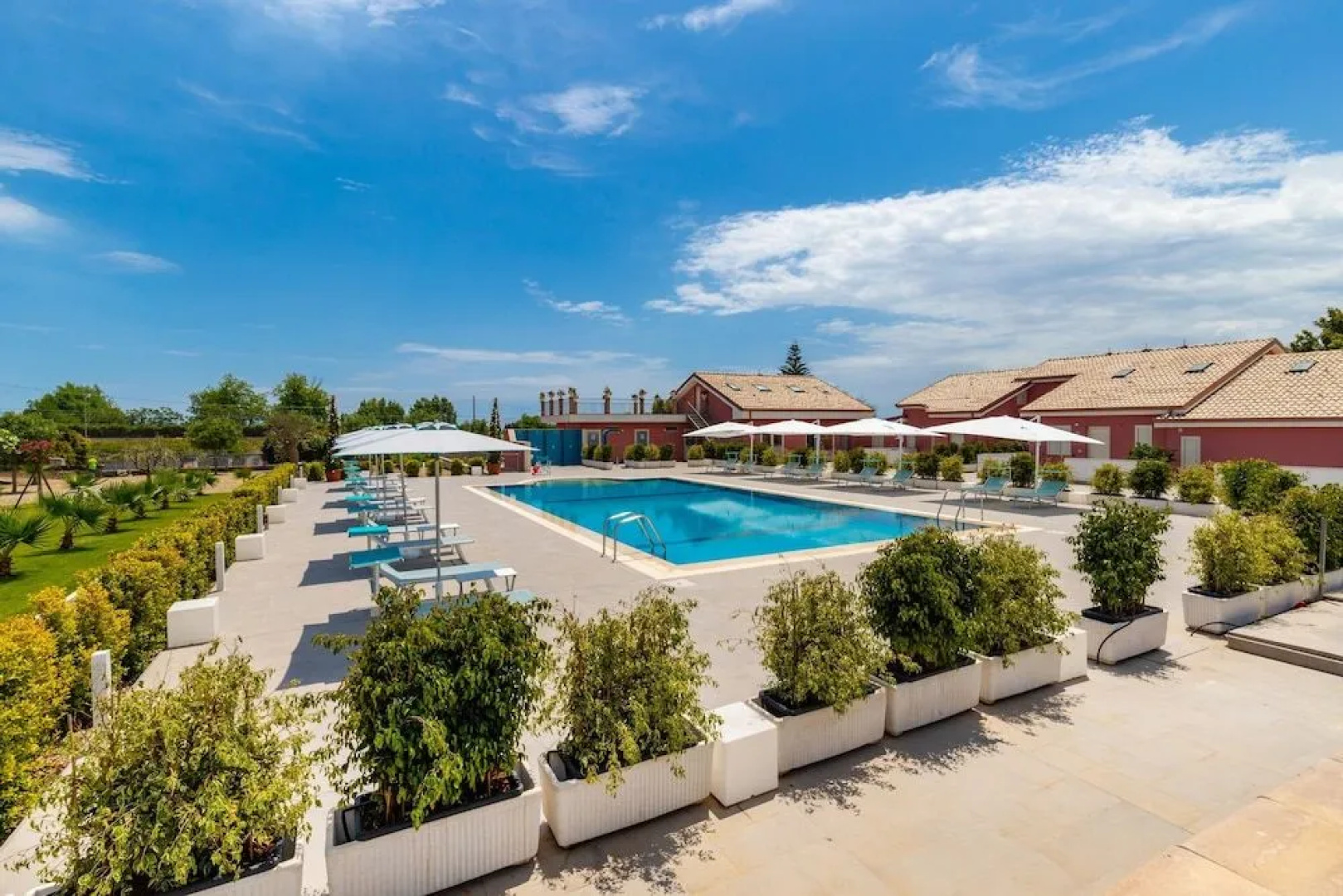 Dipladenia Garden Country House