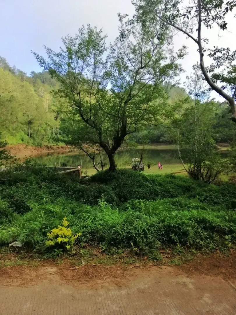 Andrew & Mary's Lodging House