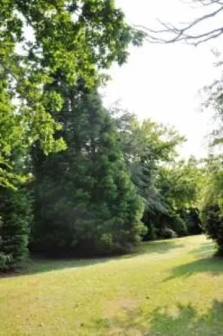 The Willows Bed & Breakfast