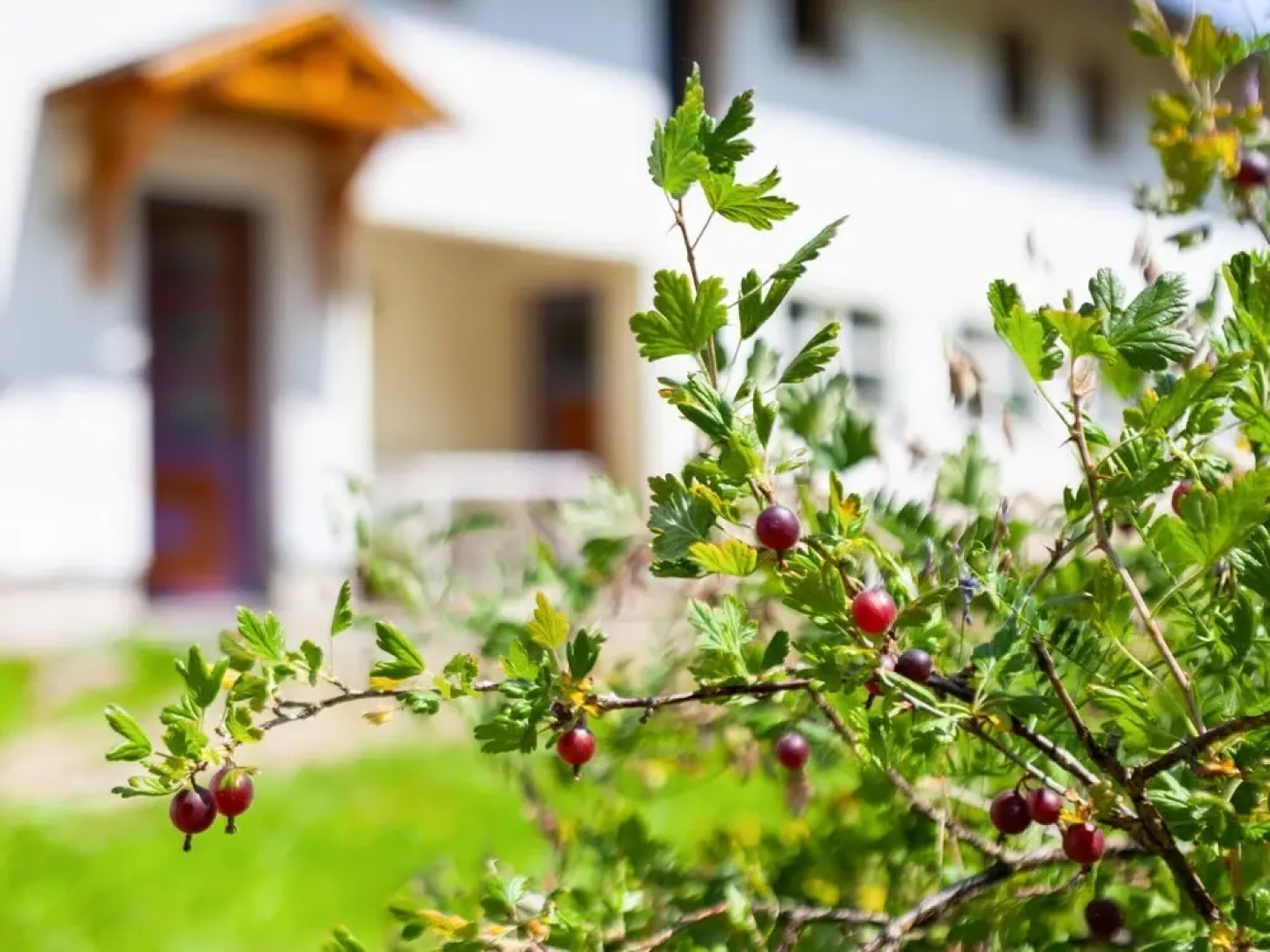 Welcoming Apartment in Hilscheid with Garden