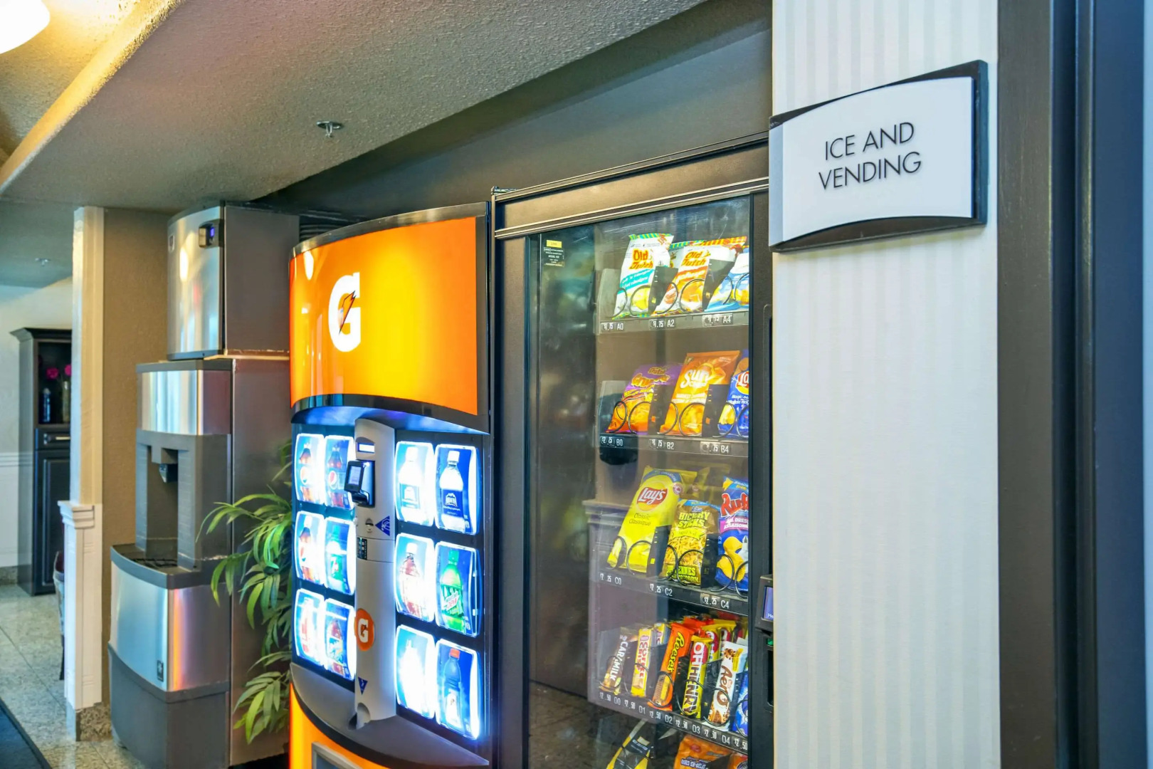 Quality Inn and Suites