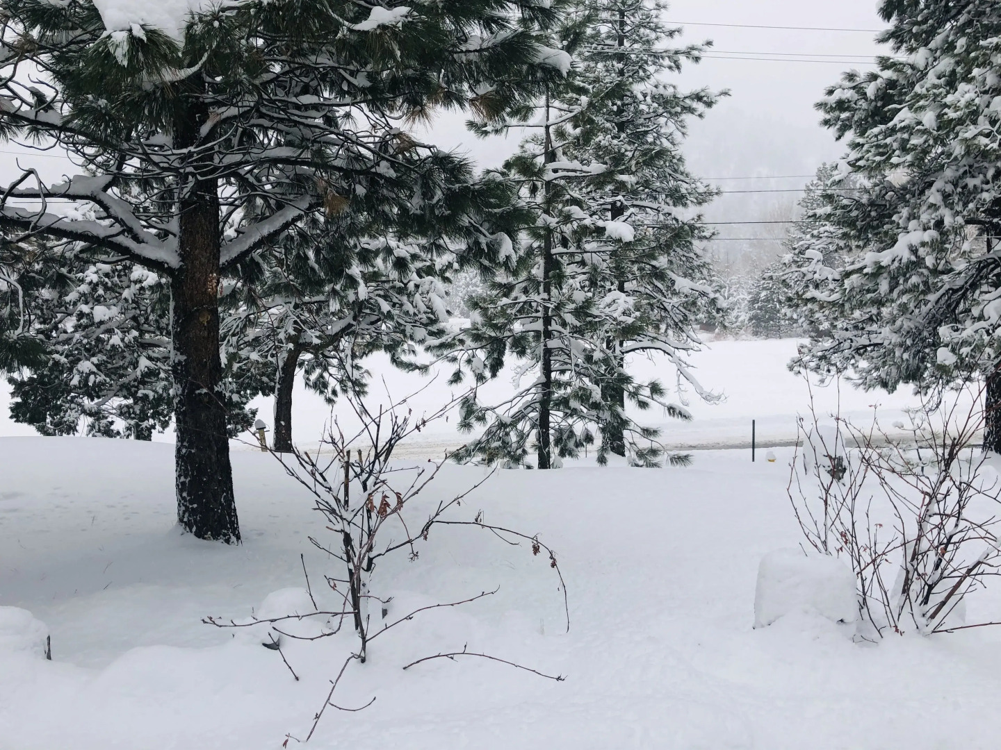 Mountain View Cabins