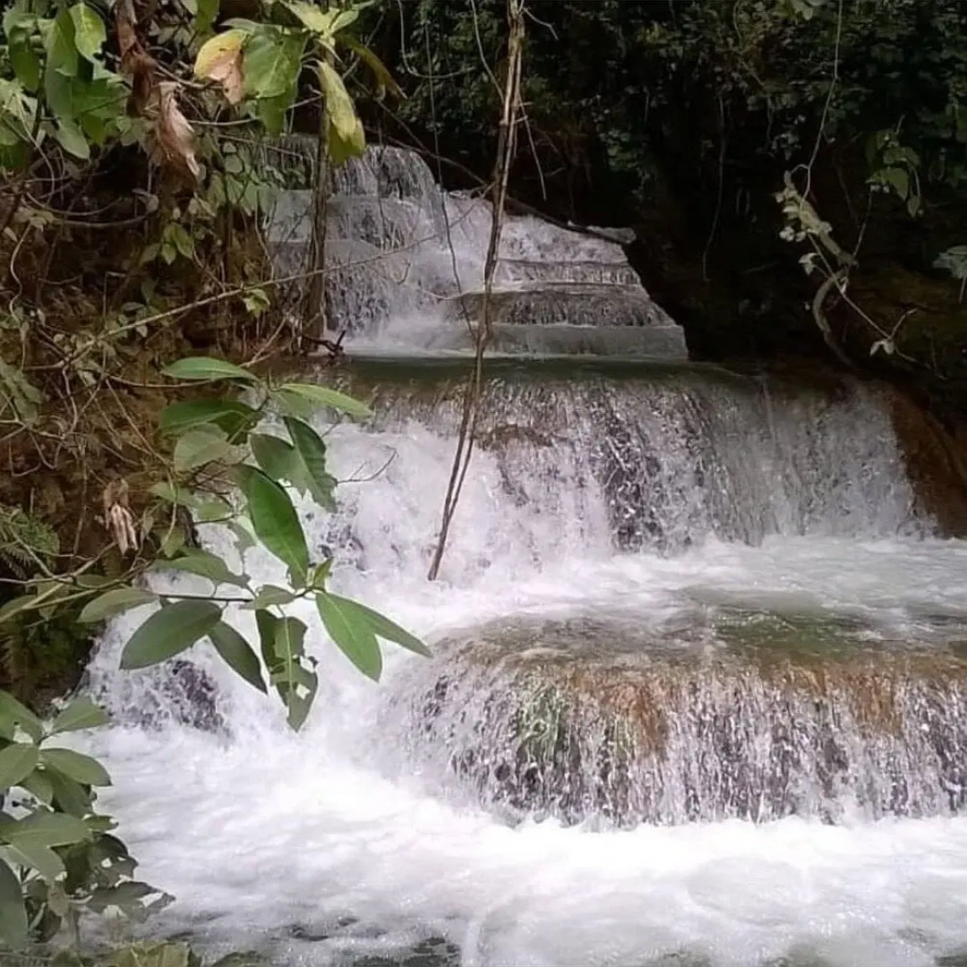 Pousada Canto Dos Pássaros