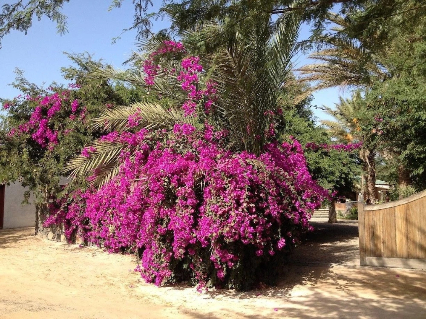 Villa Morabeza Guest House