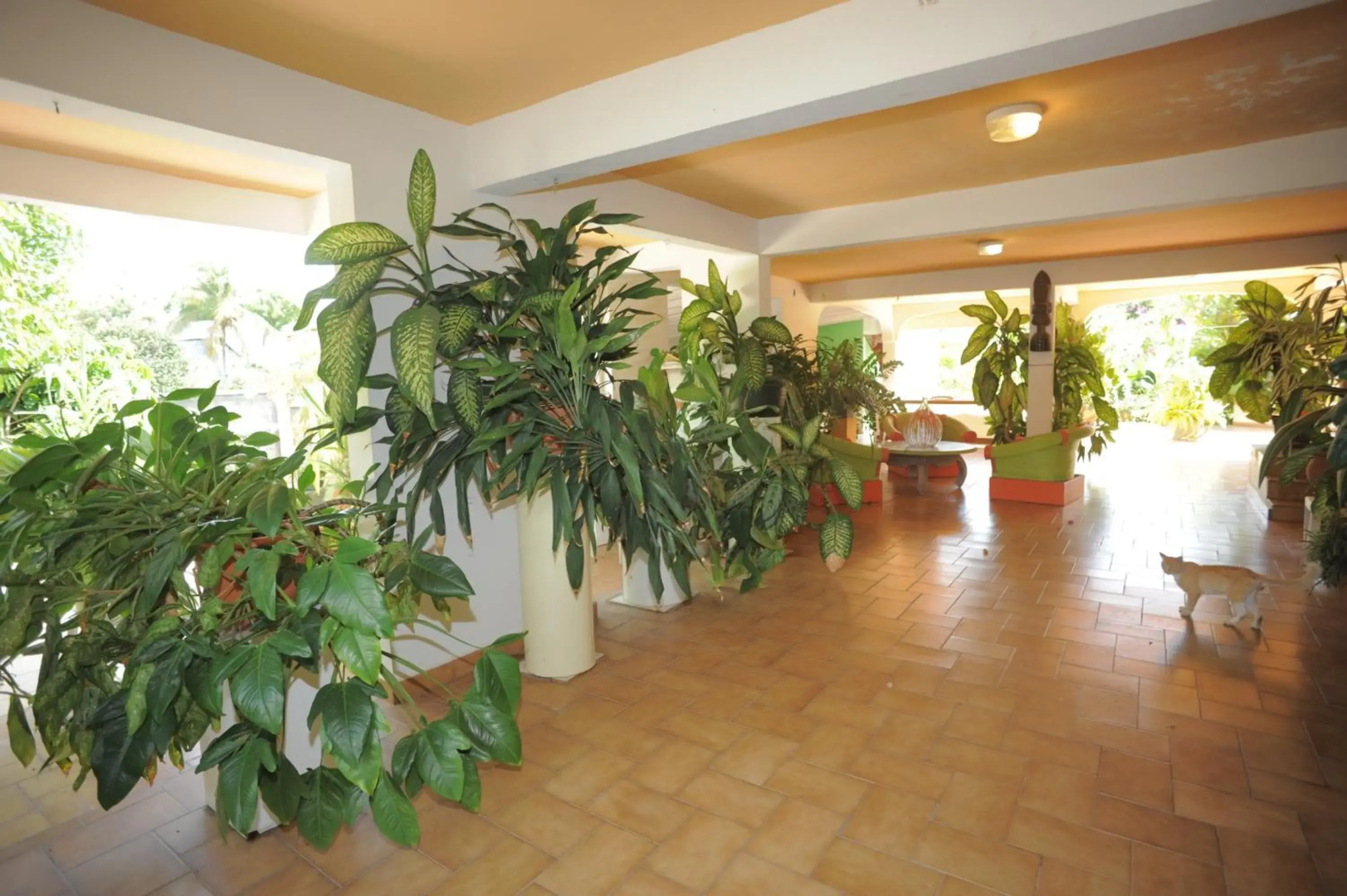 Au Domaine Des Bougainvilliers