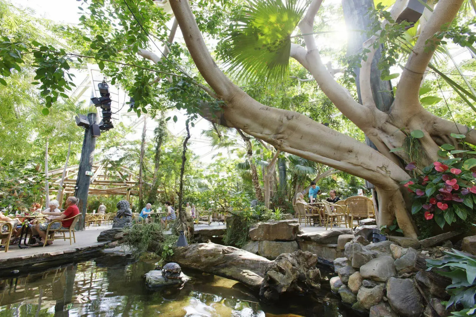 Center Parcs De Kempervennen