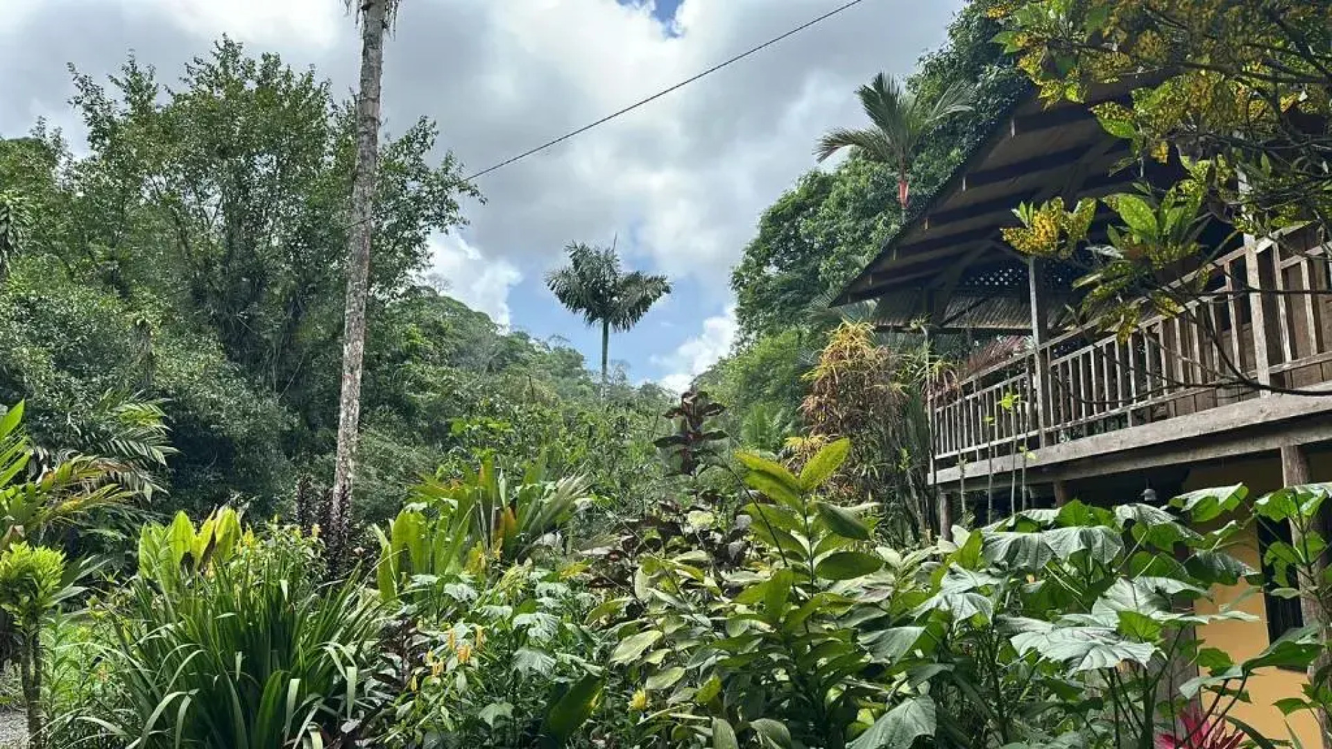 Casa Rio Blanco Eco Friendly B&B