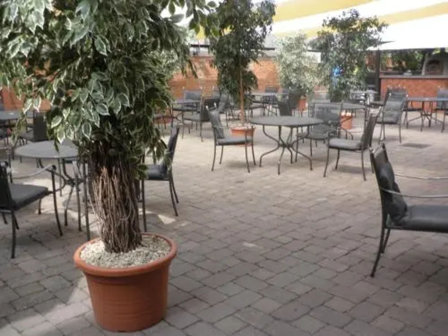 Hotel Rokoko