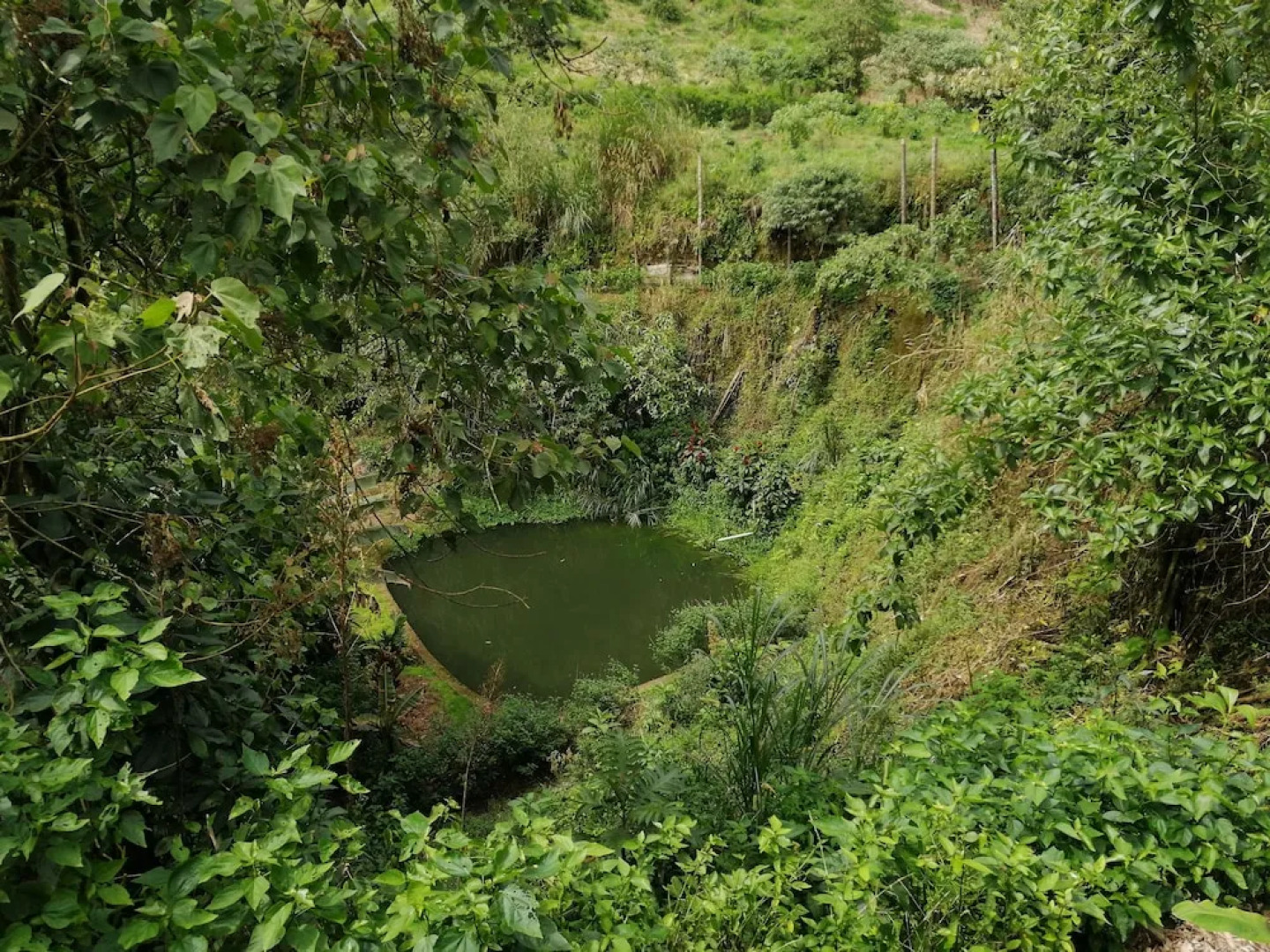 Mindo Paradise Hosteria