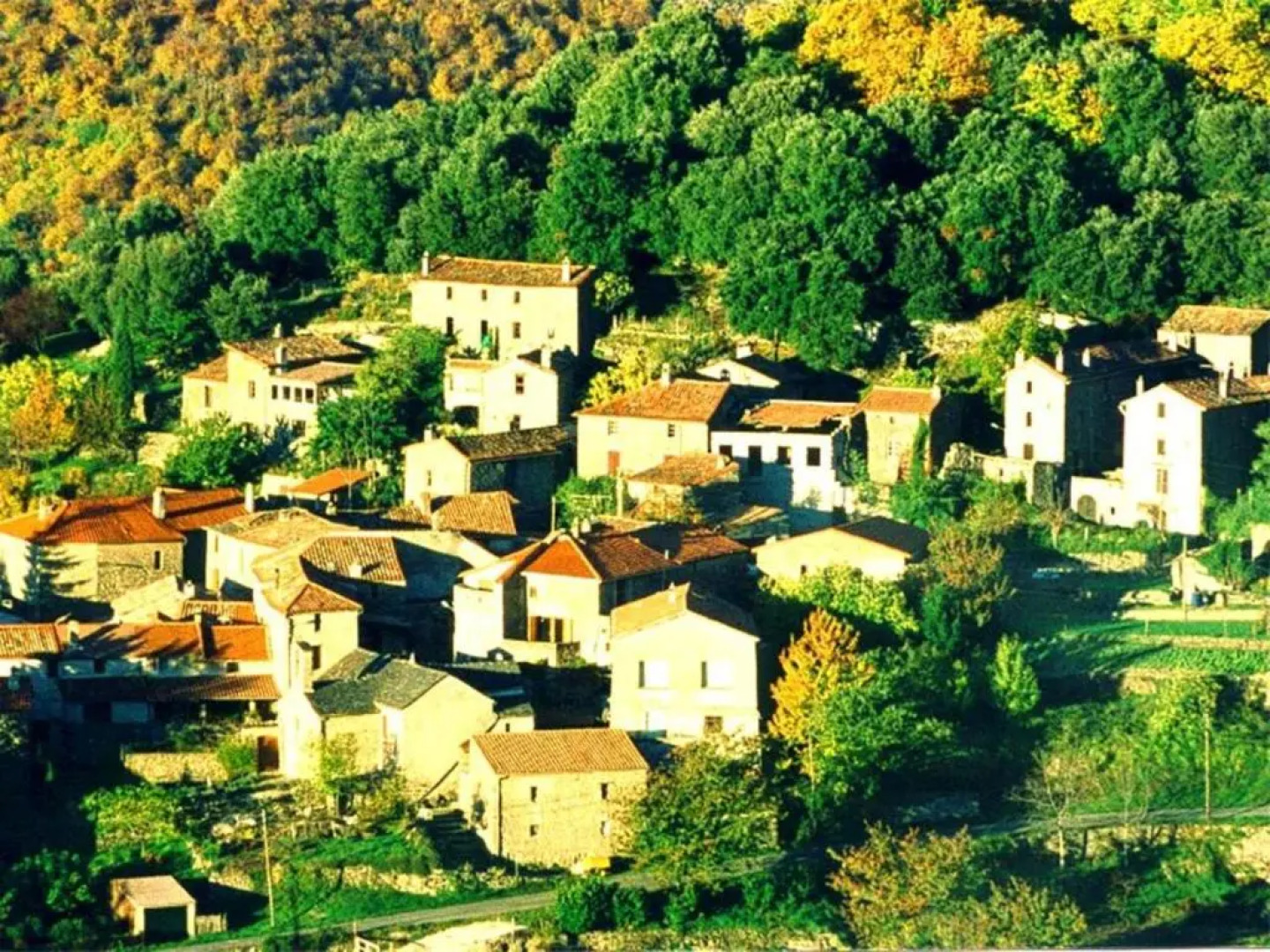Appartement de 2 chambres avec piscine partagee et terrasse amenagee a Valleraugue