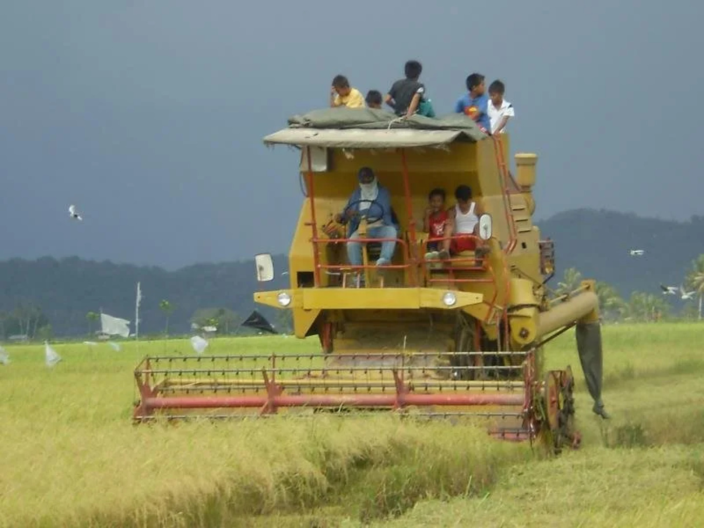 Taun Gusi Village Homestay