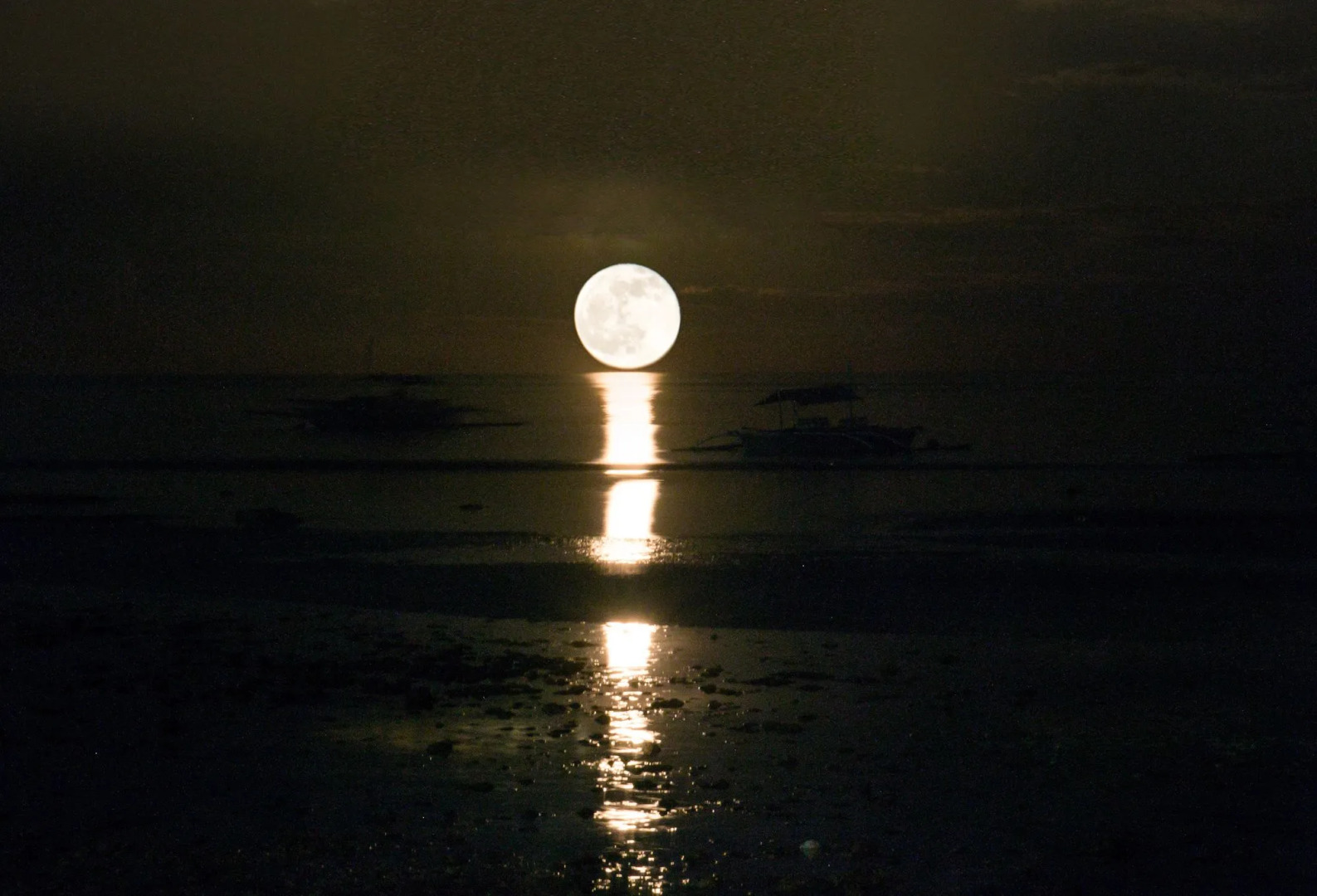 Villa Umi Panglao Resort