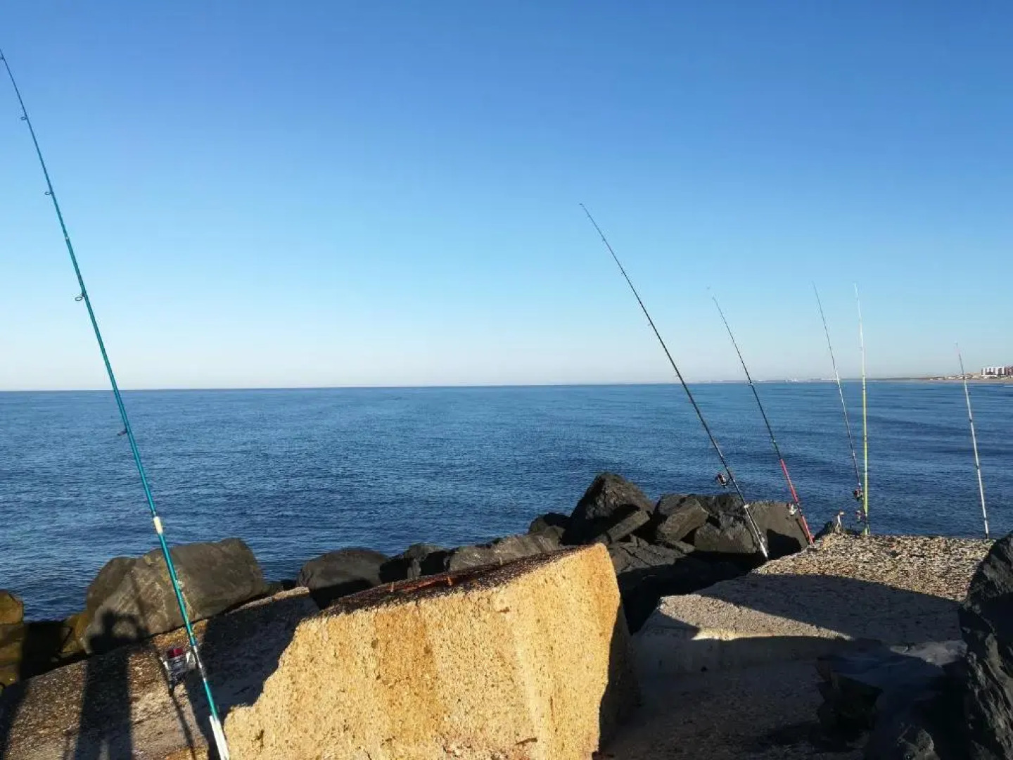 Coquina 10 Apartamento