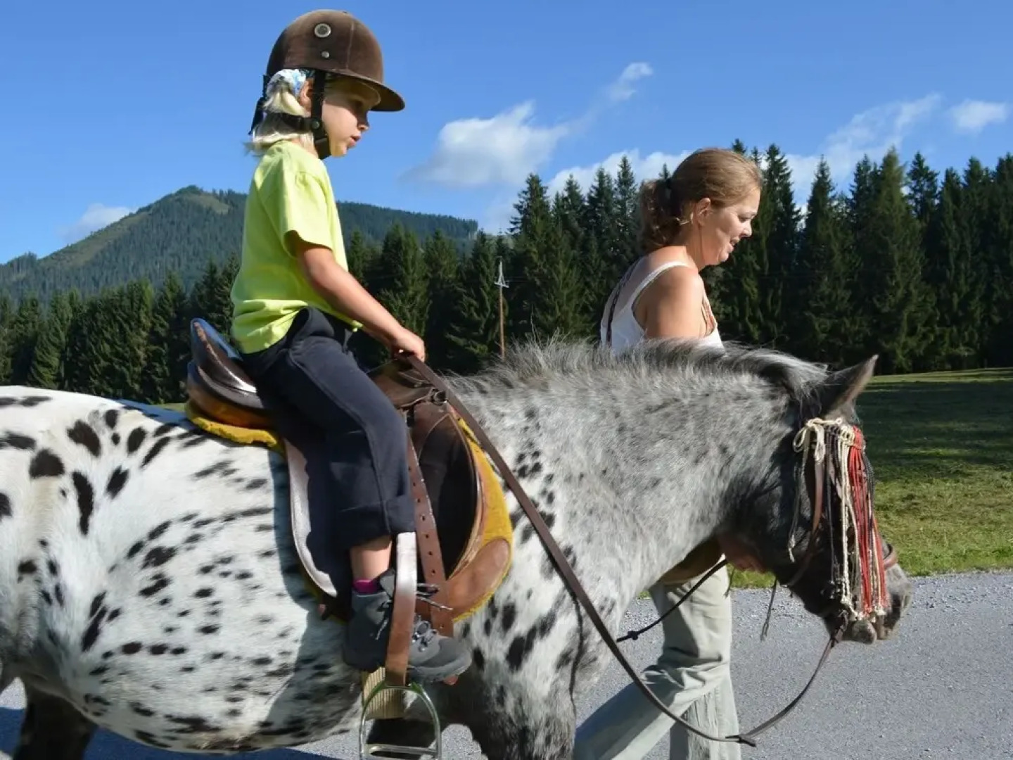 Spacious Holiday Home in Niedernfritz with Private Terrace