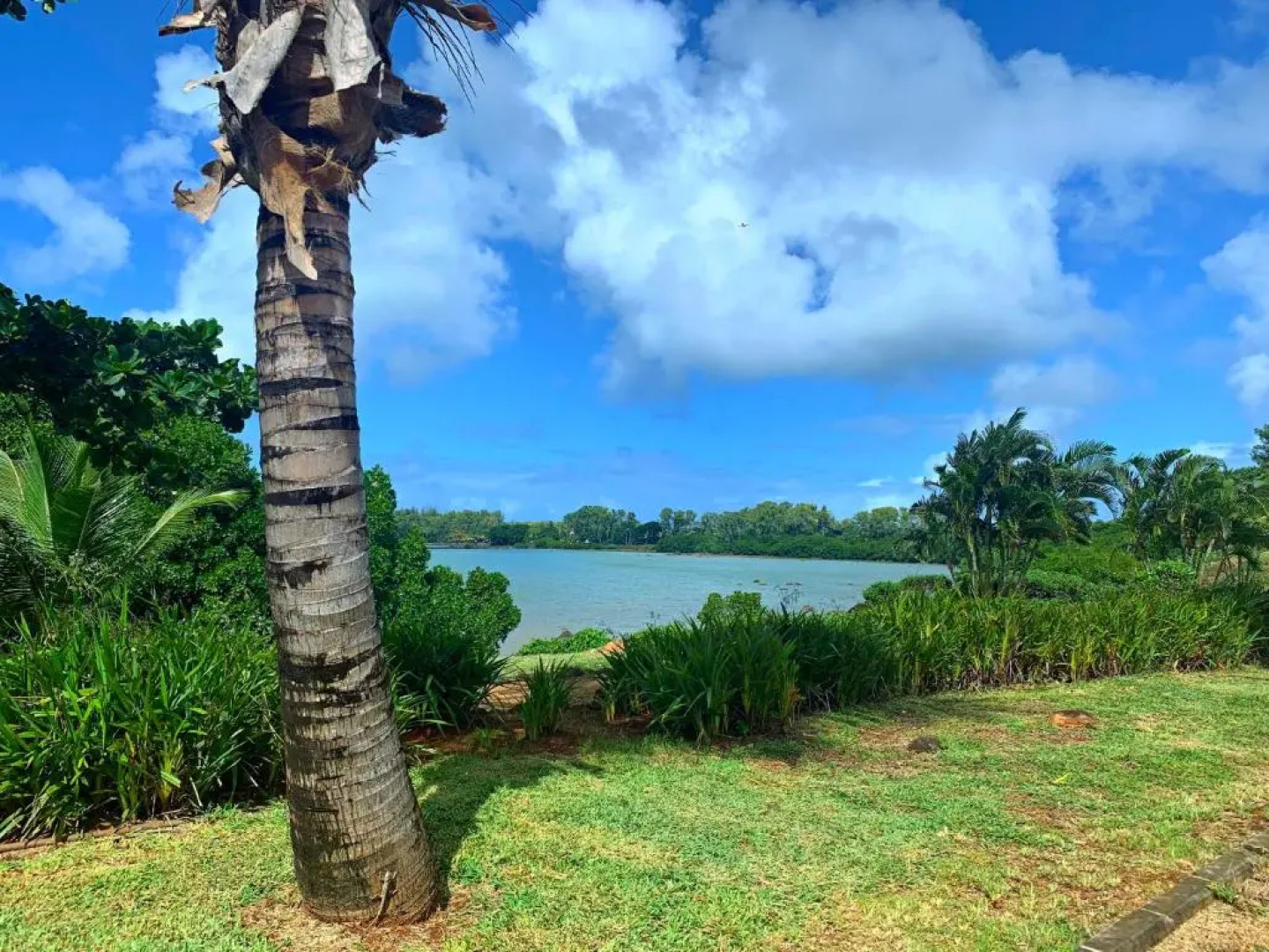 Azuri Ilea 37 with private Garden