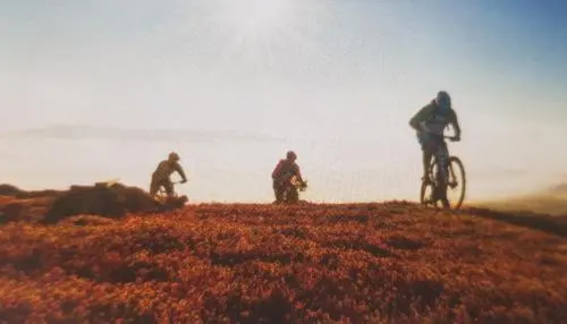 Solbjørnlia Apartments