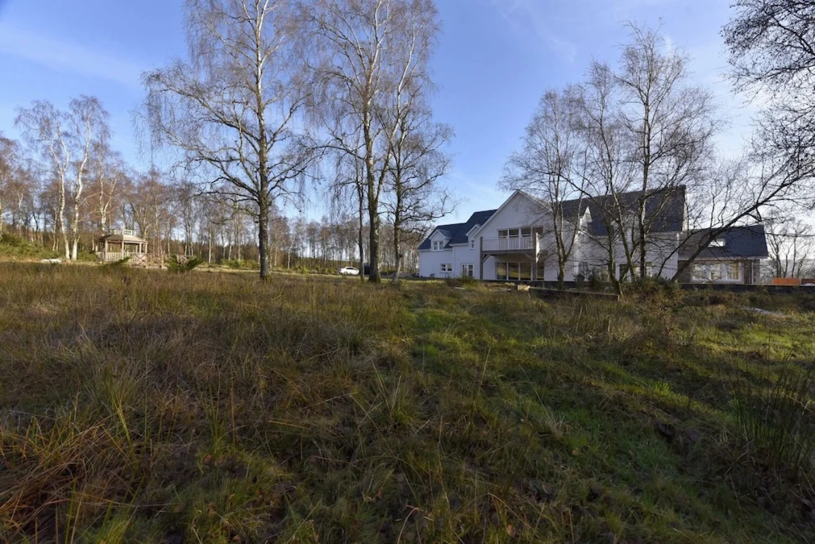 Forestview B & B