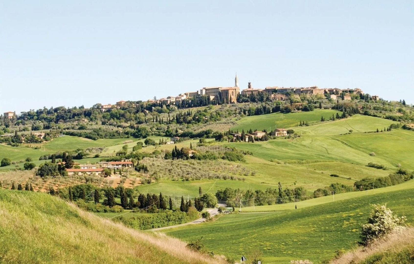 Schivanoia 2