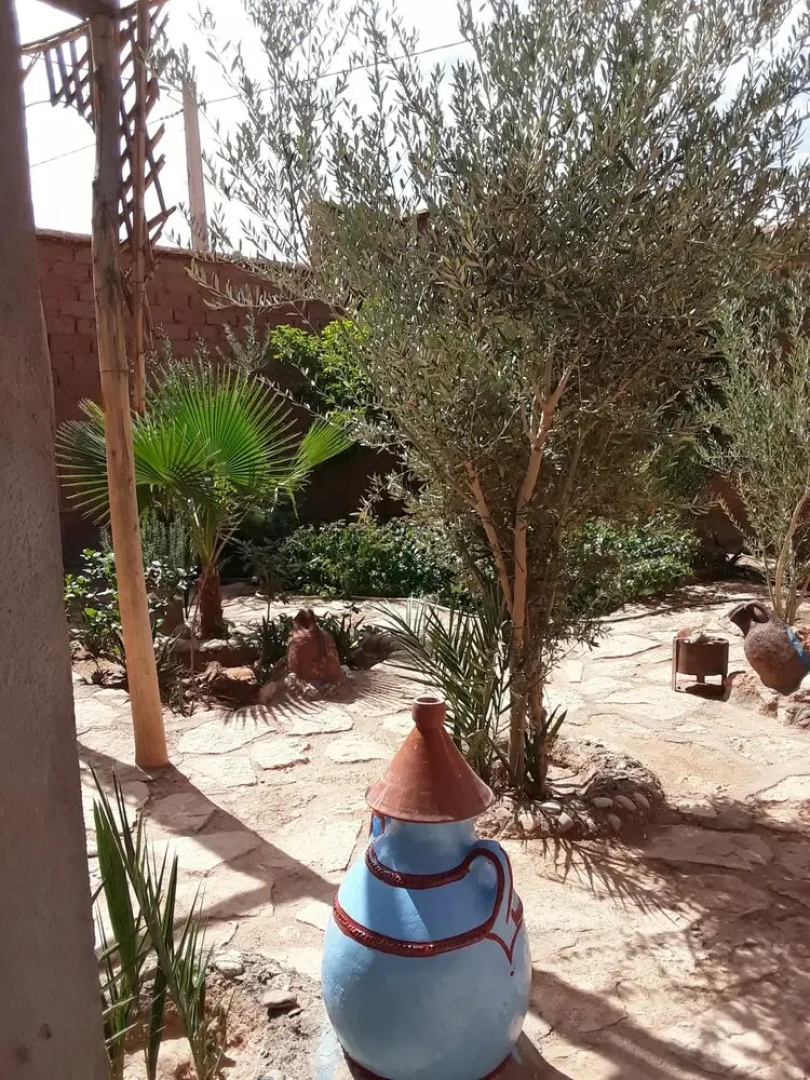 Auberge Tifaoute Kasbah