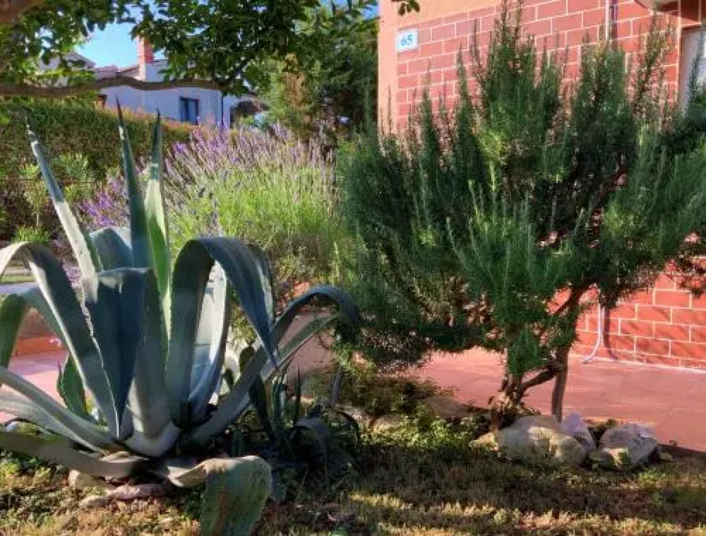 Apartment Agava Istria