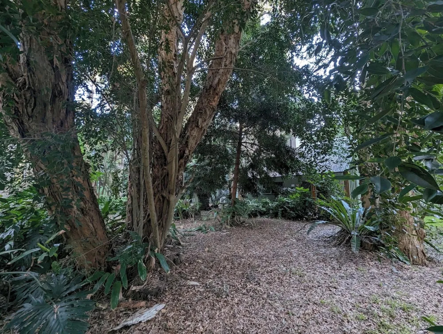 The Oasis One Mile beach