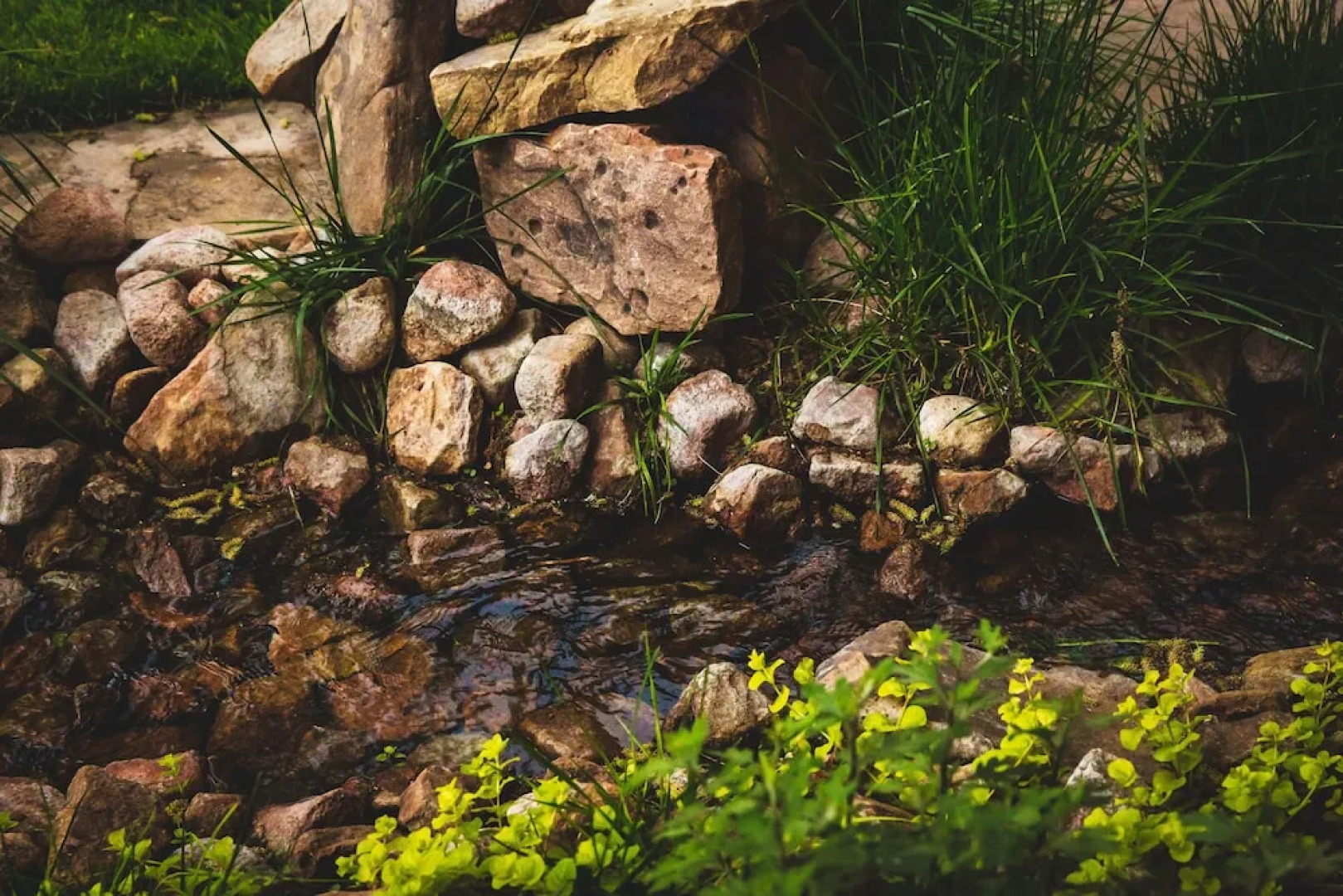 Downtown Historic Bed and Breakfast