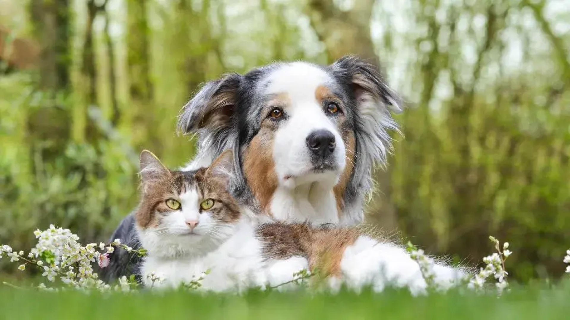 Holiday Inn Baton Rouge College Drive I-10 by IHG