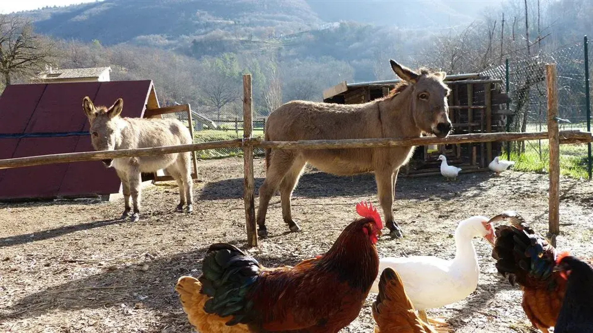 Cerqua Rosara Residence