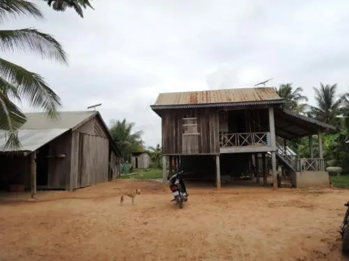 Koa Horn Homestay