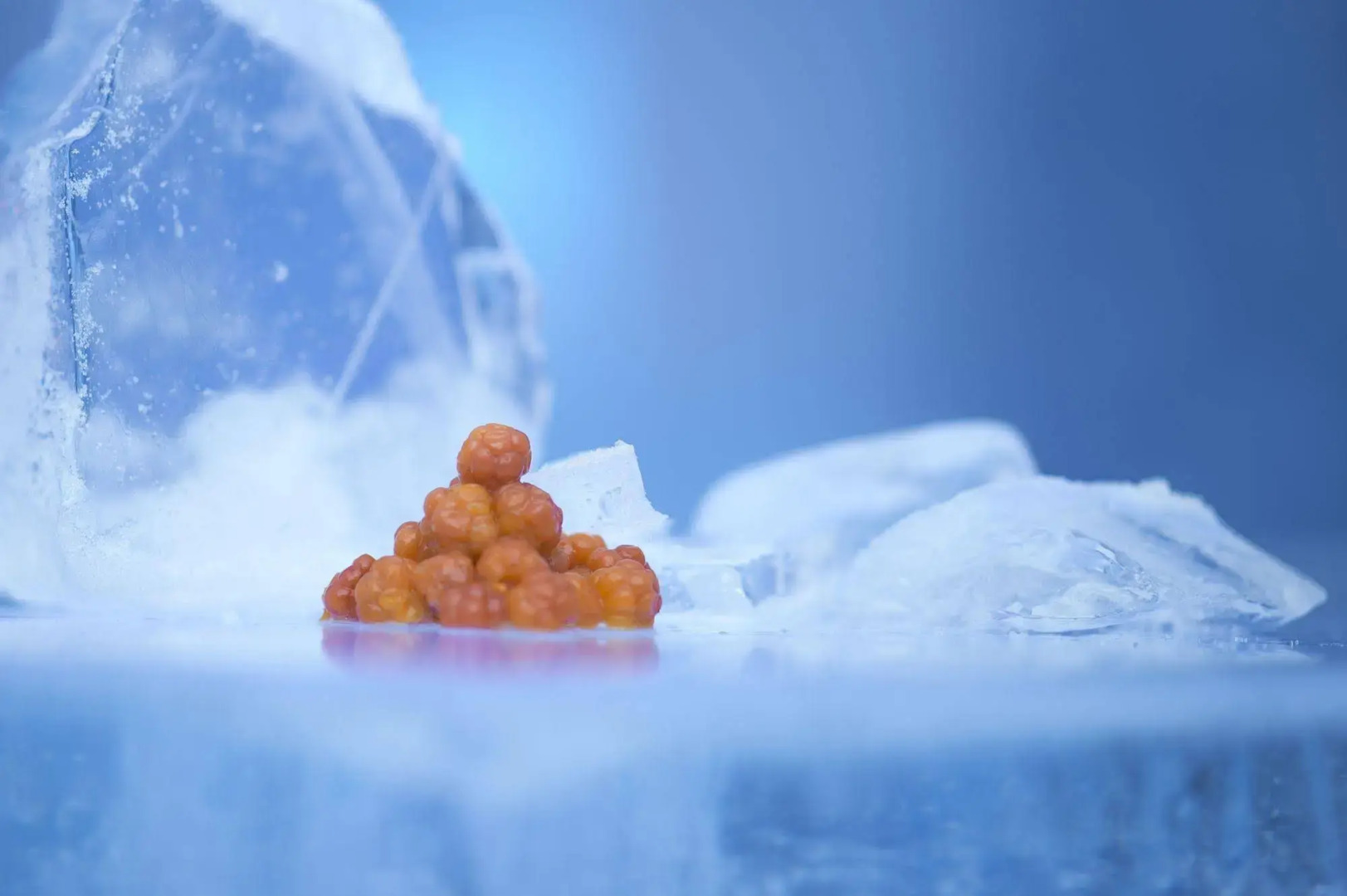 Sorrisniva Igloo Hotel