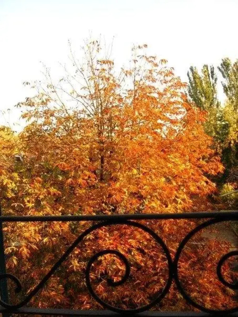 Locanda Andrea da Carlo