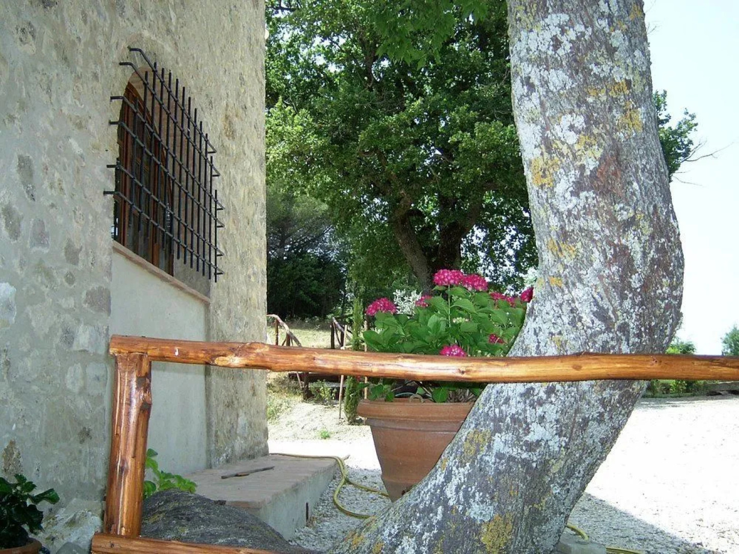 Bellavista farm of Quercini Maurizio