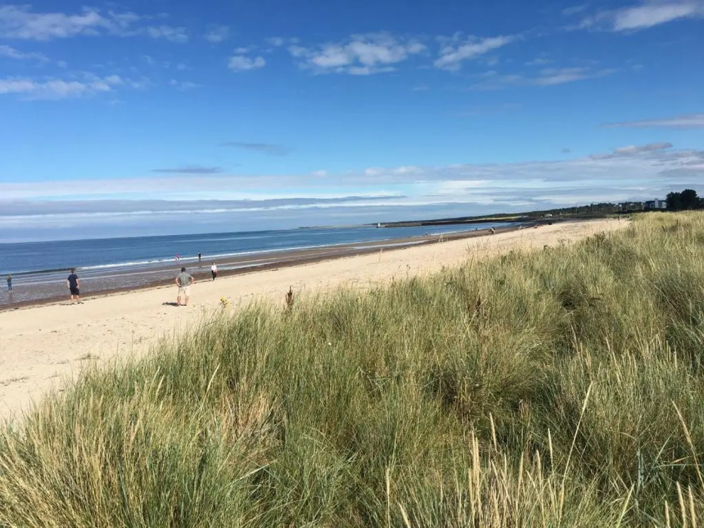 Douglas House Apartments