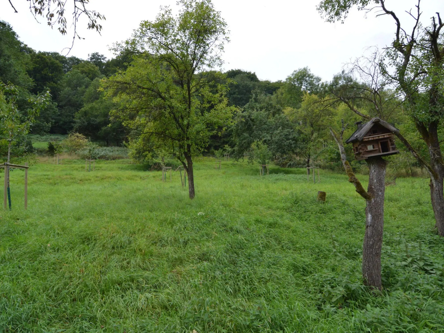 Cozy Apartment in Immerath with Fishing Nearby