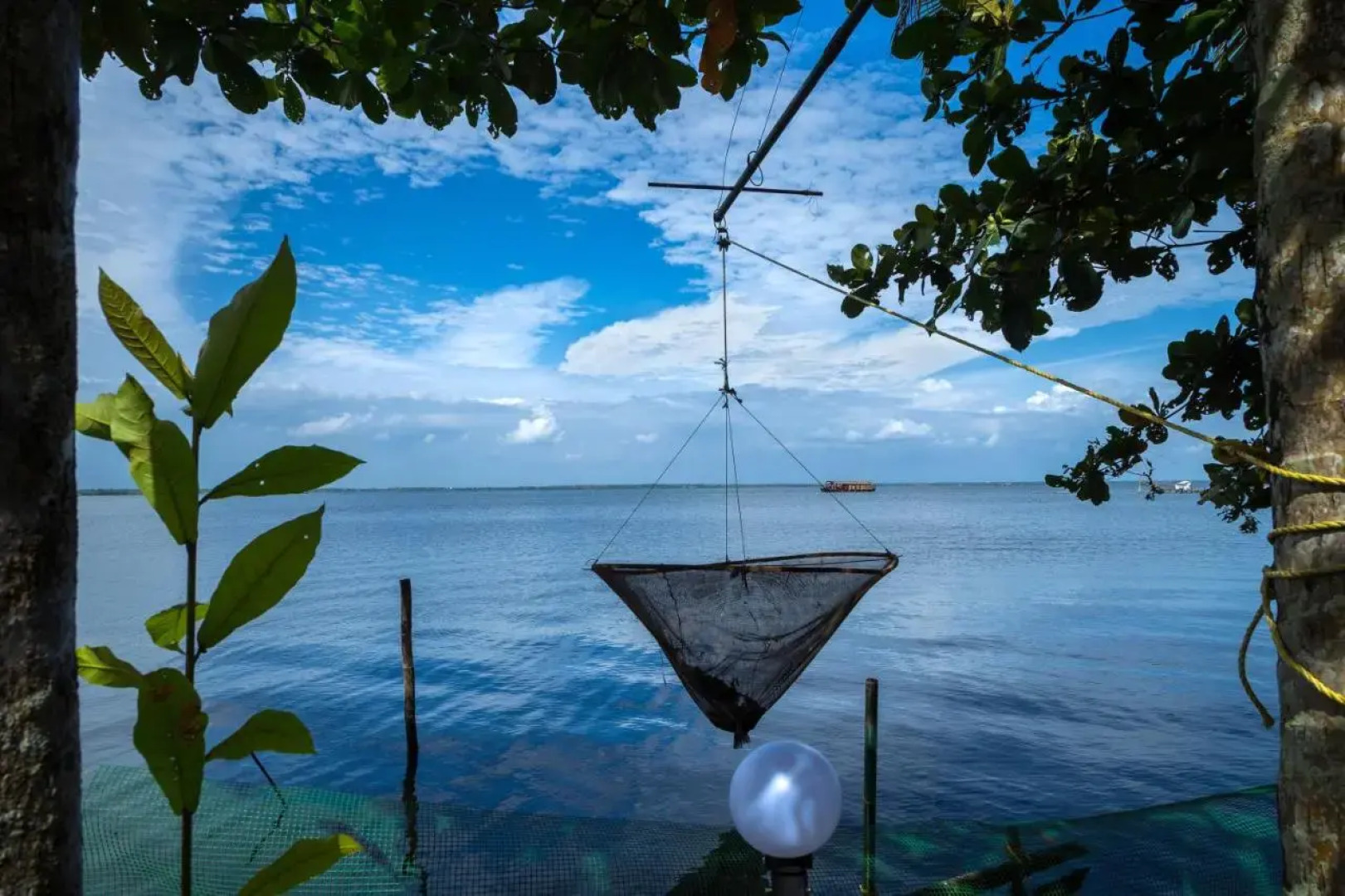 orchid lake view homestay