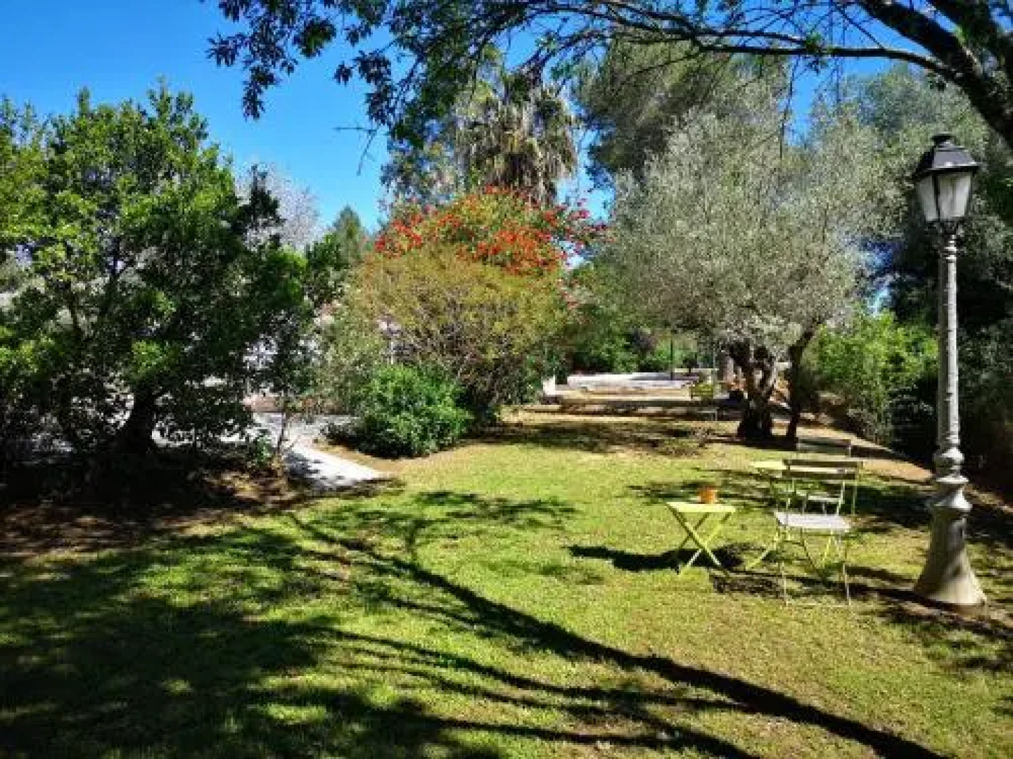 Les 2 roses De Verdillon