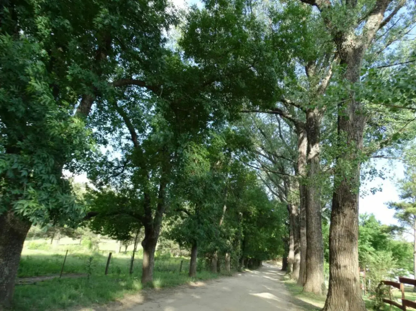 Cabañas "La Quimera"