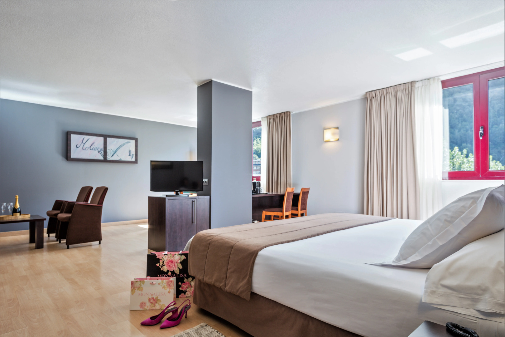 Hotel Acta Arthotel