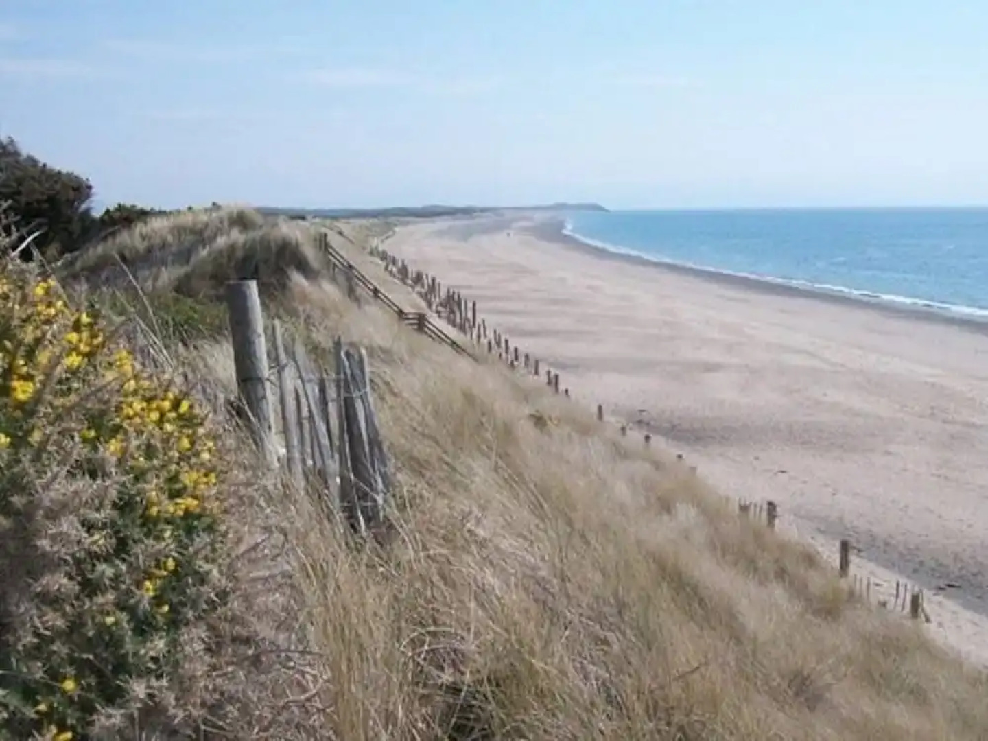 Somerdale Bed and Breakfast