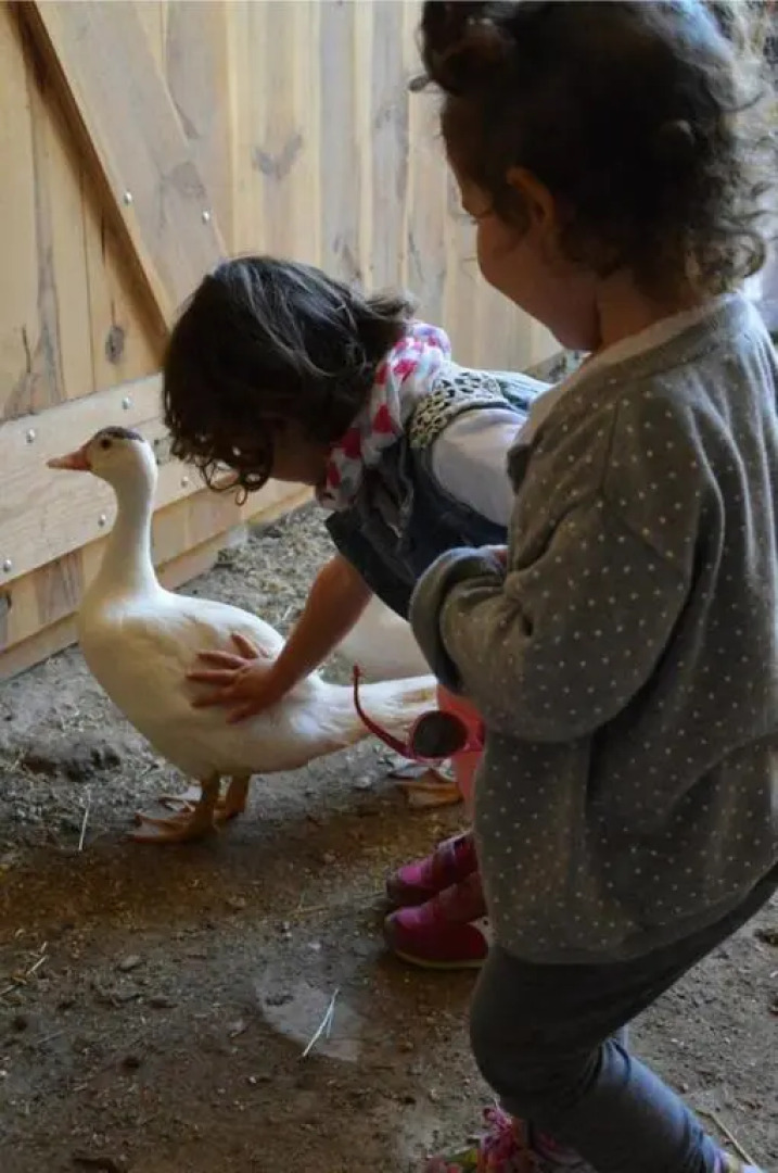 Agriturismo Antico Loggiato