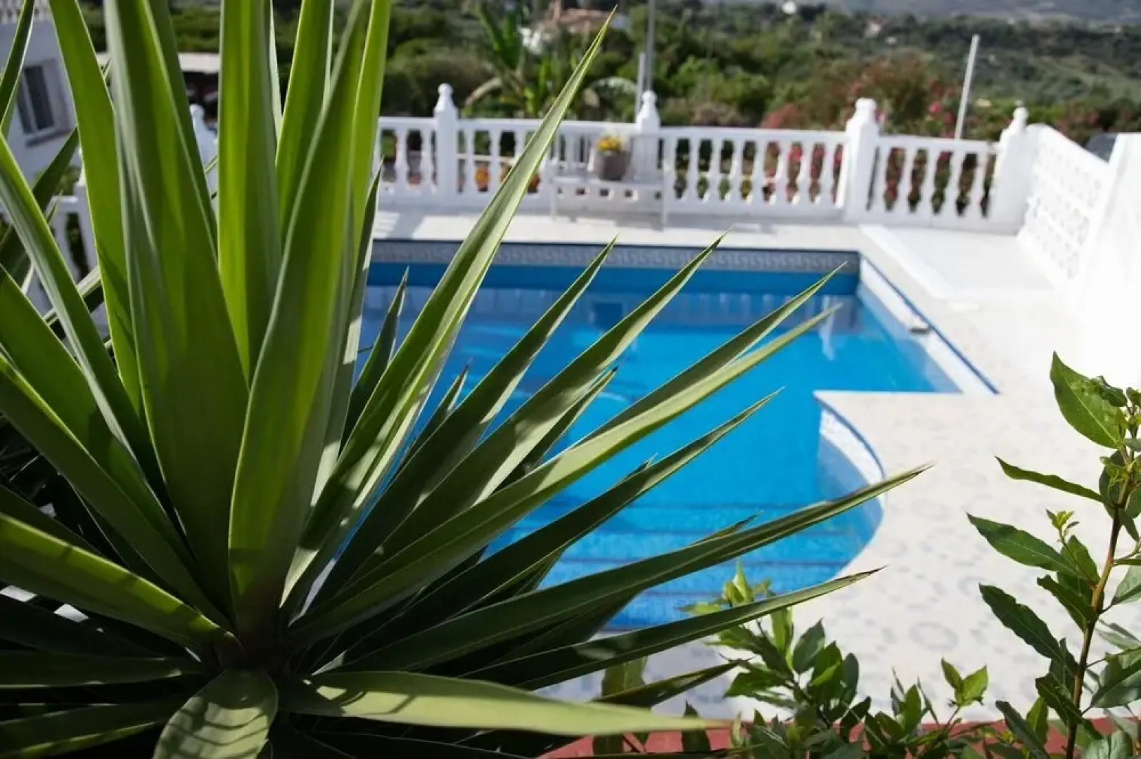 Finca Sueño de Vida