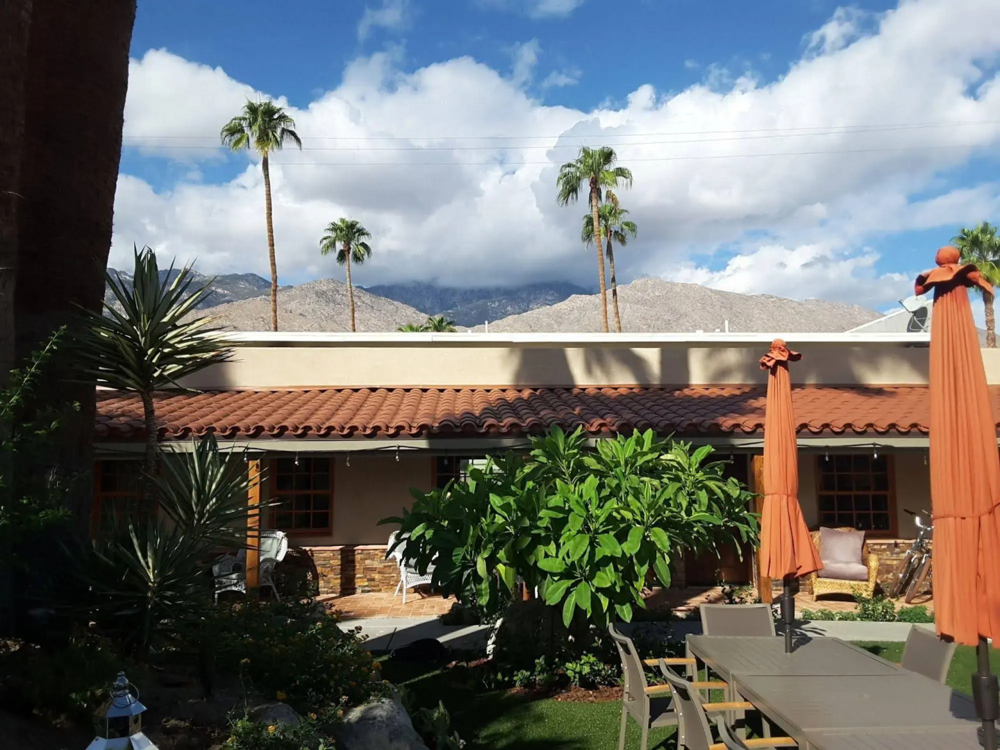 Dive Palm Springs
